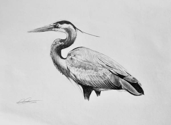 - Paper on pencil, Painting by Carys Avery Welsh, measuring 29 x 20 cm (H x W) framed at 36 x 33 cm £245